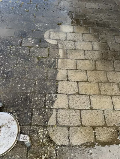 Påväxt av alger och lavar på tak