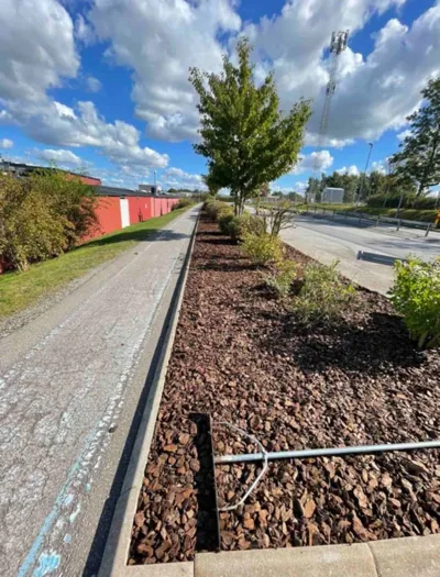 Grönyteförvaltning och trädgårdsskötsel i samarbete med Djurslövs Plantskola