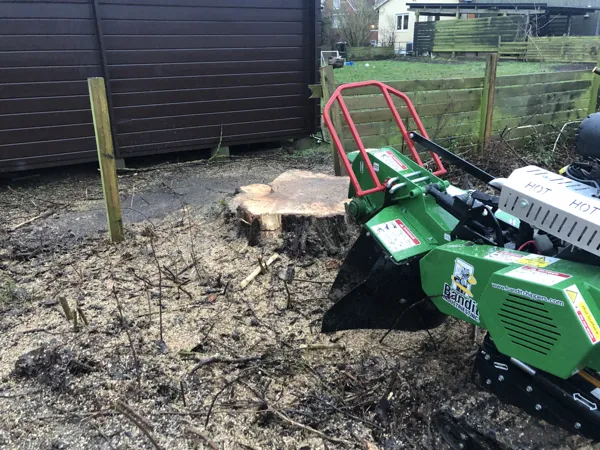 Trädmark utför stubbfräsning med modern maskinpark i Skåne