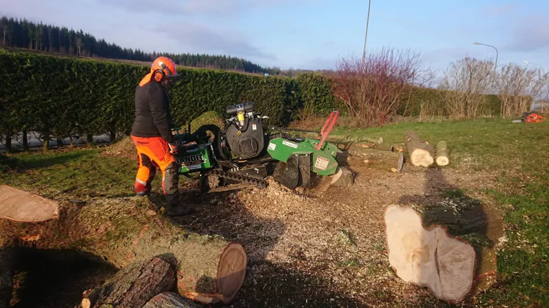 Efter stubbfräsning