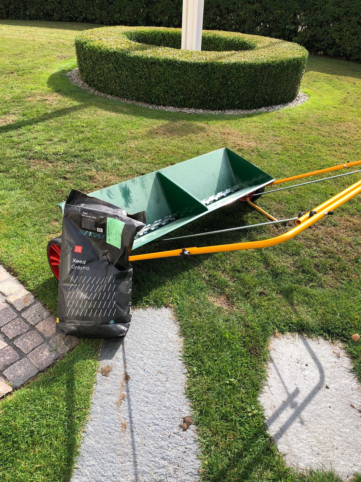 Stödså med kvalitetsfrö i Höllviken