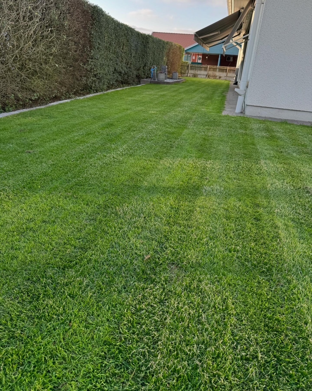 Gräsmatterenovering utförd i Staffanstorp - hålpipsluftning av lerjord