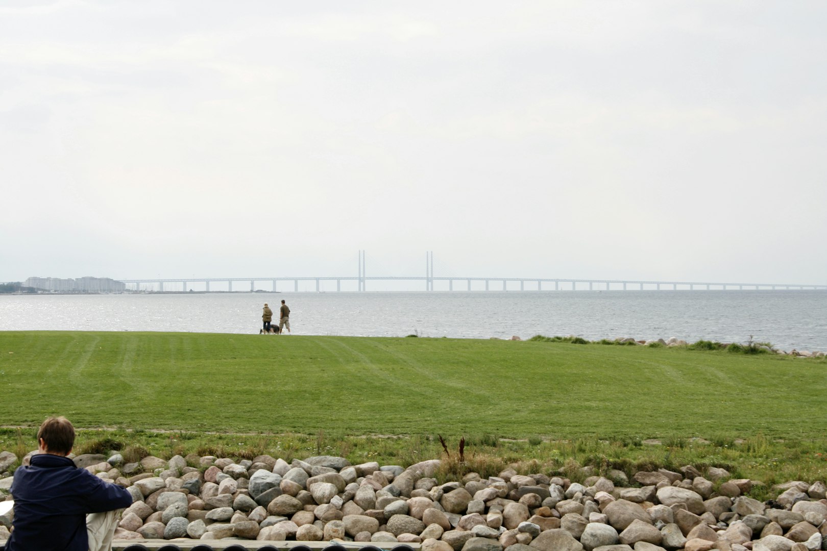 Gräsmatta i Malmö, nära hevet