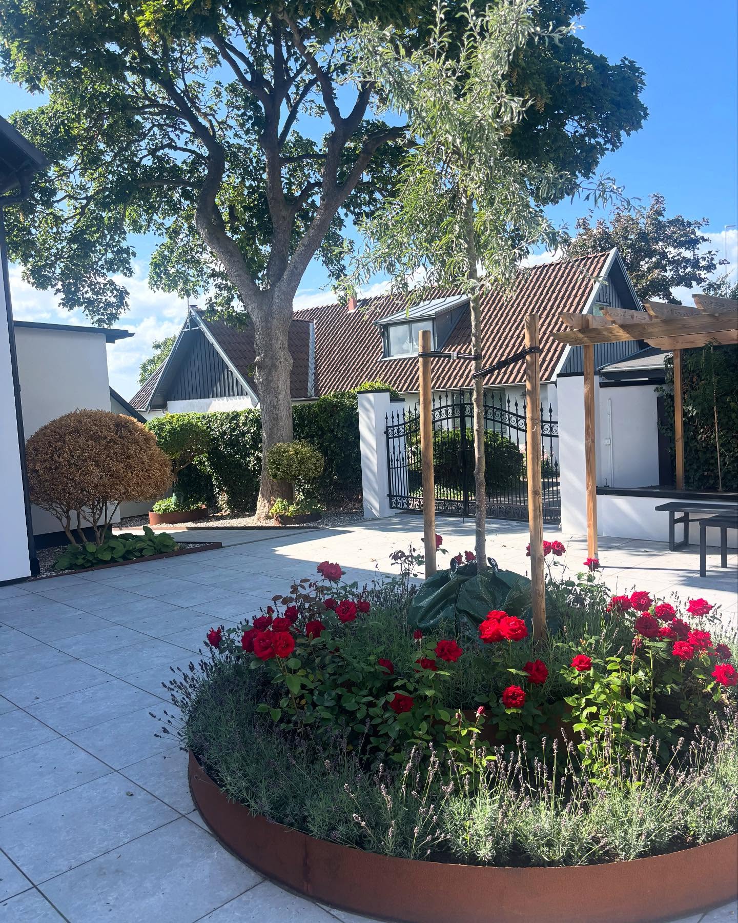 Stubbfräsning i Skåne