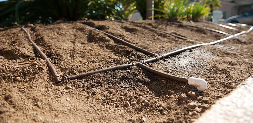 MP Rotator, perfekt för din trädgård